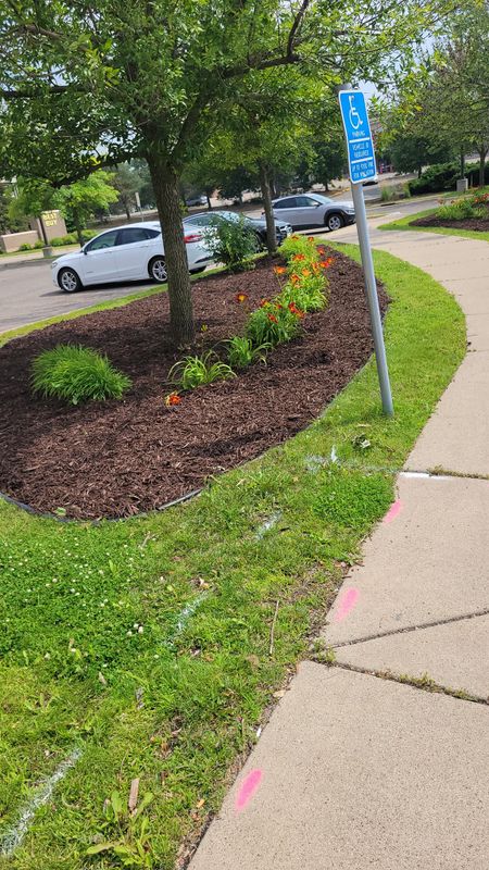 Landscaping