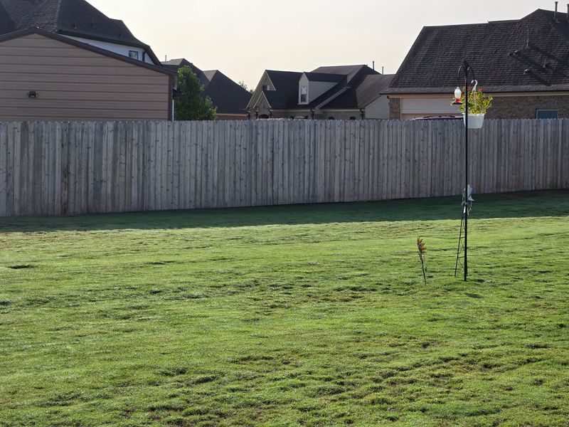Fence staining gallery