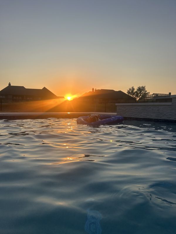 Custom Pool Construction