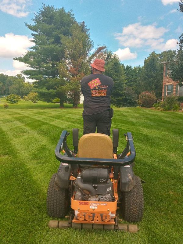 Lawn Maintenance