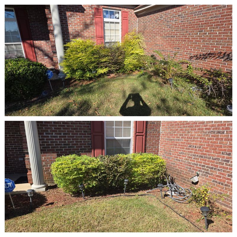 Lawn Maintenance