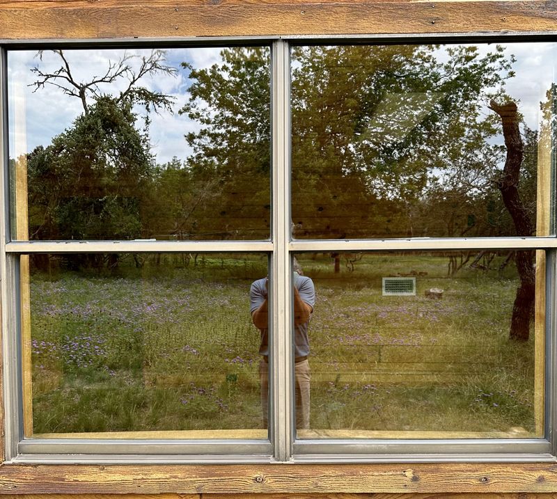 Window Cleaning 