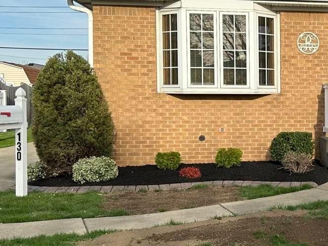 Shrub & Plant Installation Photos