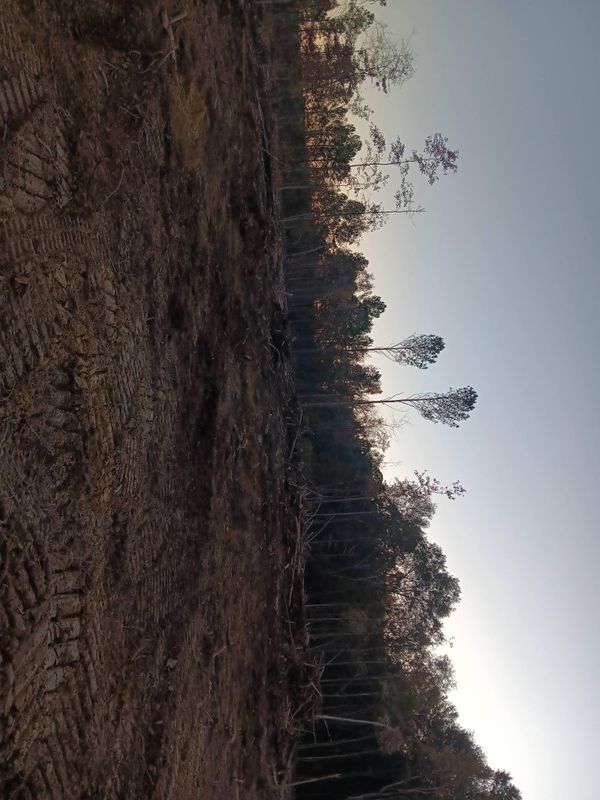 Septic leach fields