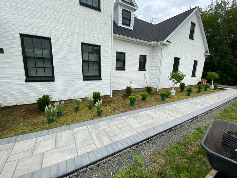 Plant & Shrub Installations