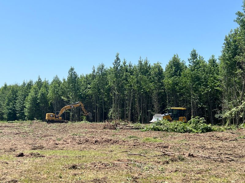 Land Clearing