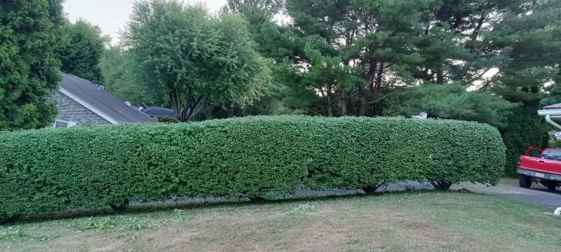 Landscape Installation