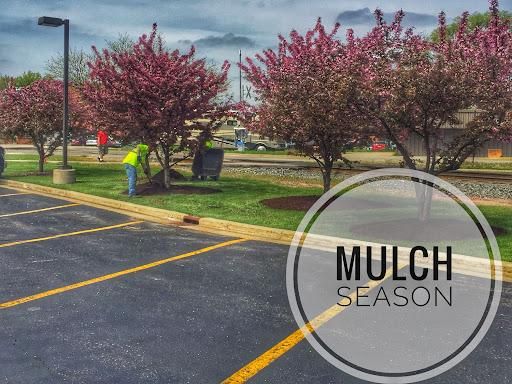 Mulch Installation