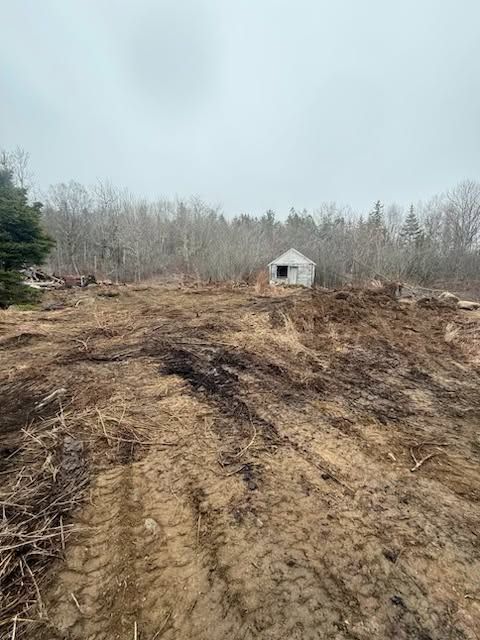 Land Clearing and Site Preparation