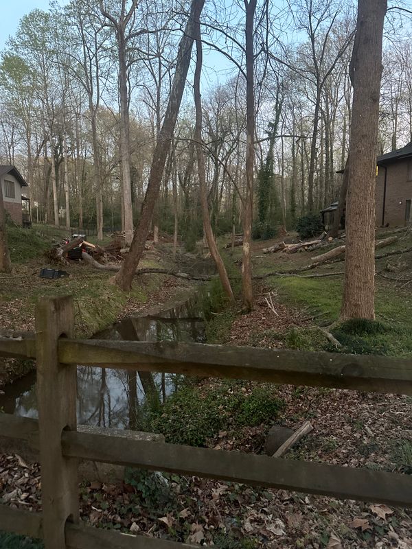 Land Clearing