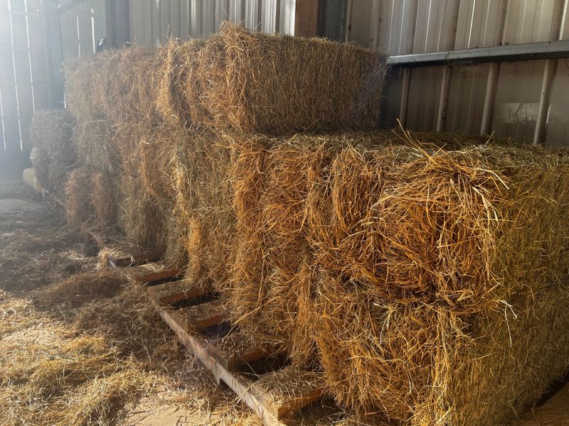 Storage Trailers and Hay Sheds