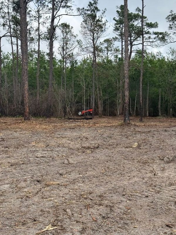 Land Clearing