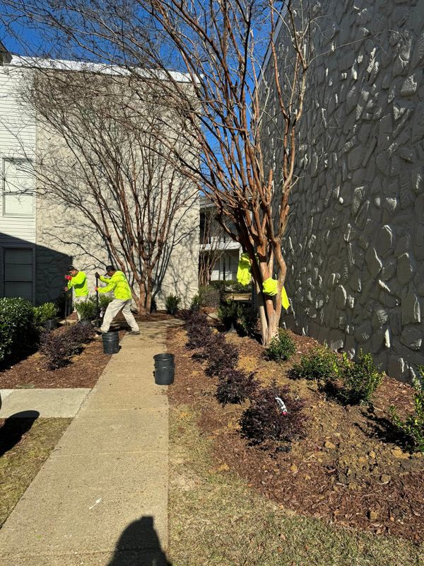 Landscaping