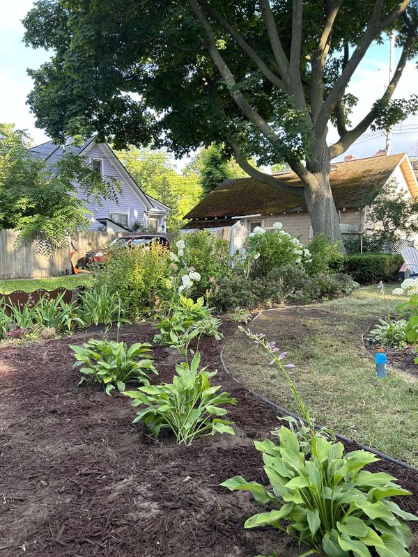 Landscaping