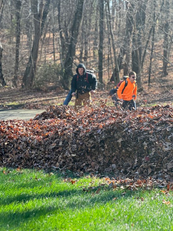 Spring & Fall Clean ups gallery