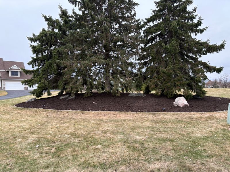 Landscape Maintenance