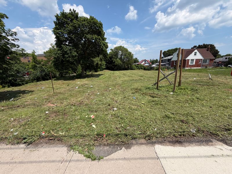 Brush Cutting & Overgrown Lot Cleanup | Stoney Creek, ON