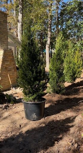 Landscape Design & Planting