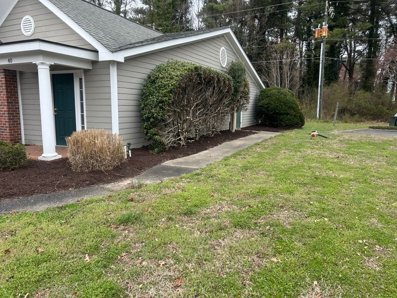 Mulch