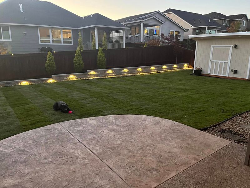 Lawn Aeration