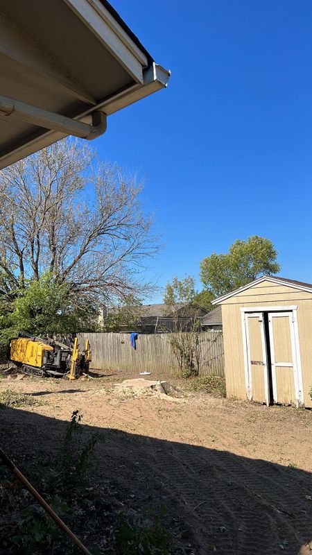 Stump Grinding