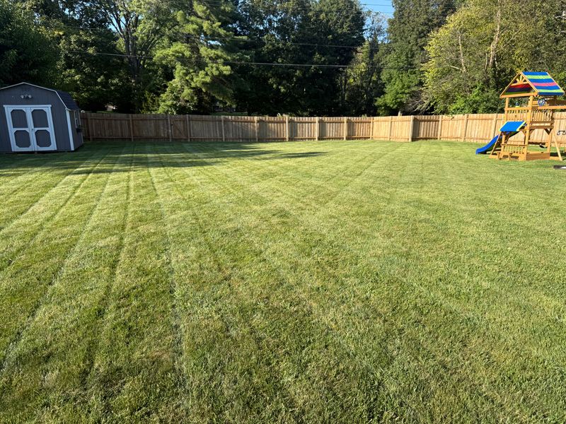 Lawn Mowing
