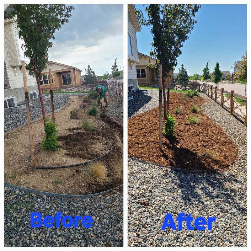 Garden Designs
