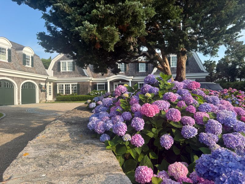 Tree & Shrub Care