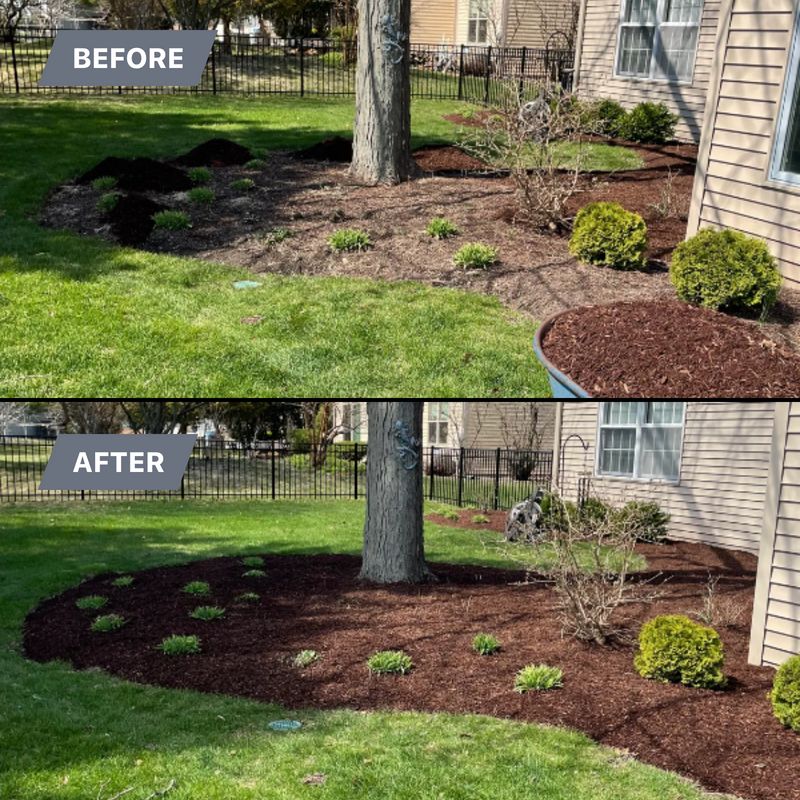Landscape Design