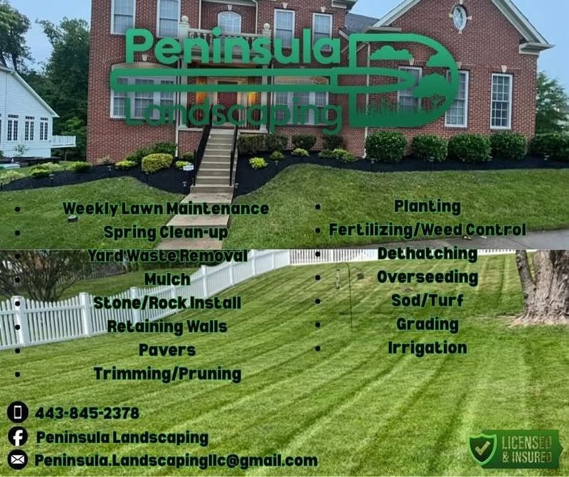 Lawn Maintenance