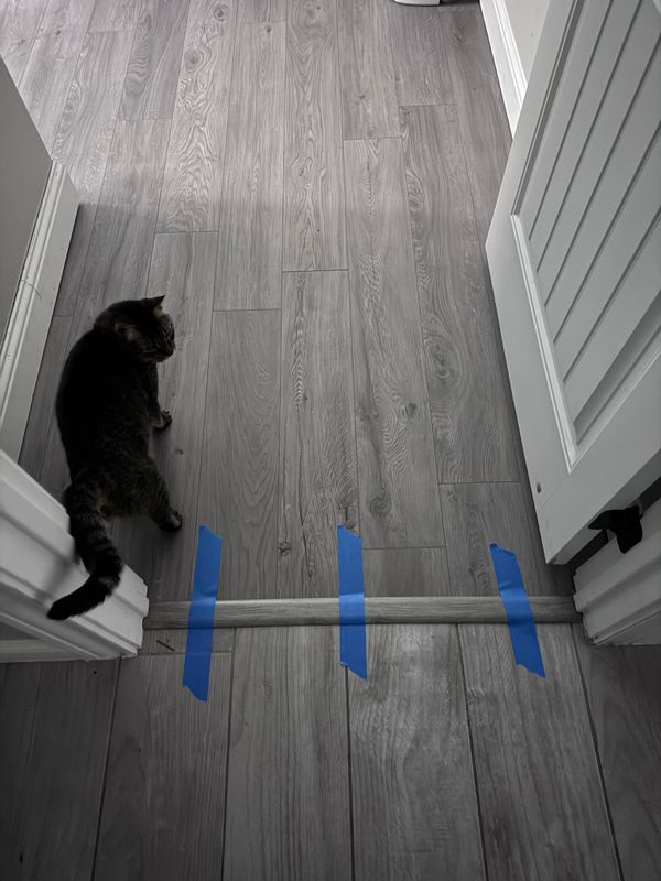 LVP/LVT Installations