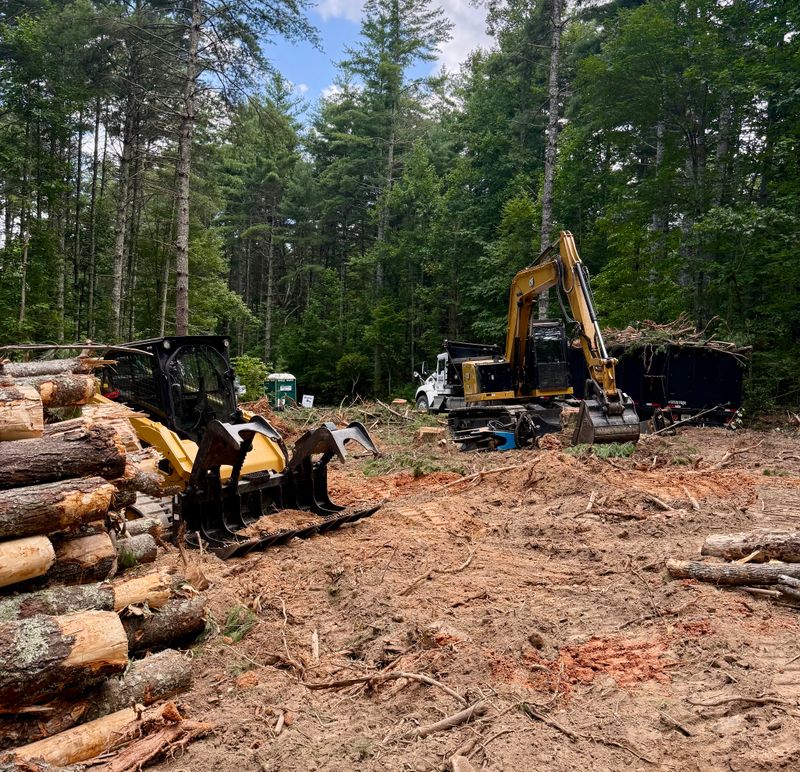 Land Clearing