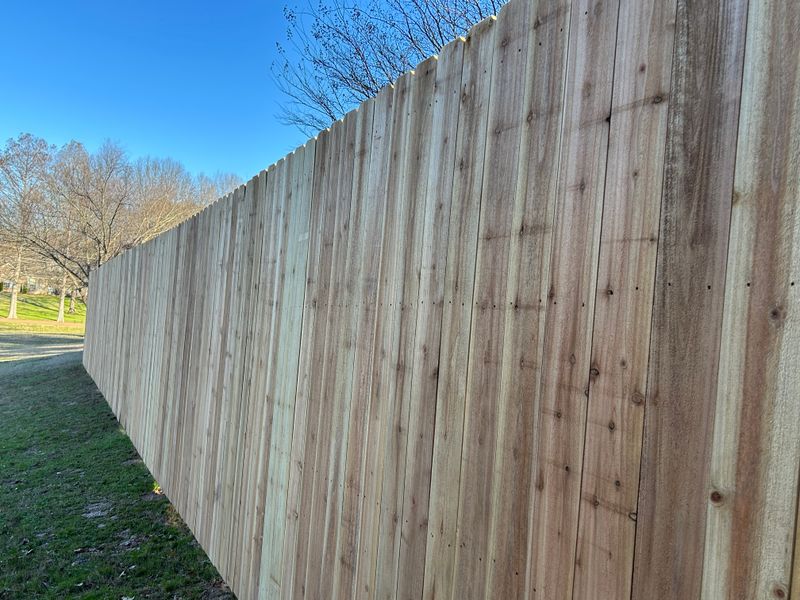 Fence Staining