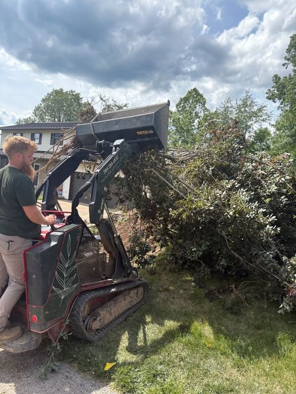 Land Clearing