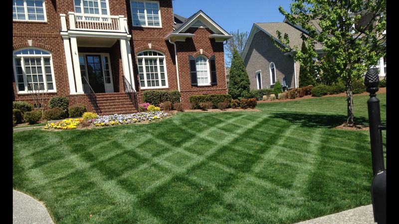 Lawn Care