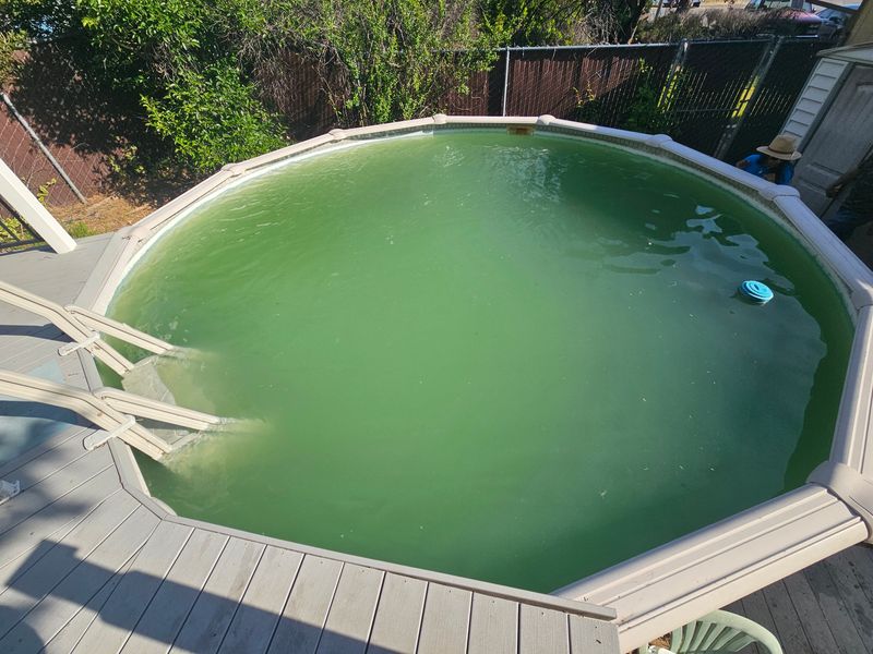 Green Pool Cleanups