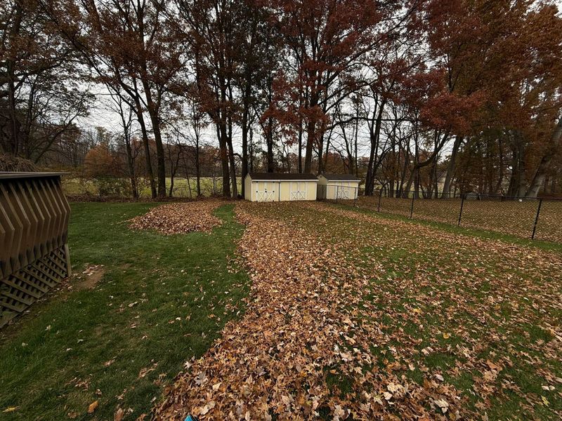 Fall Clean Up