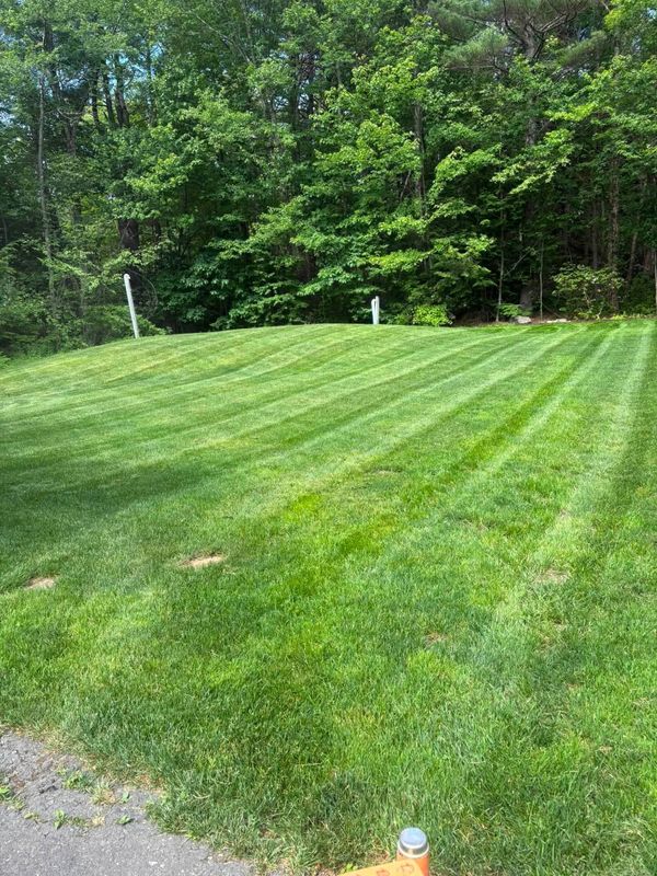 Landscape Design