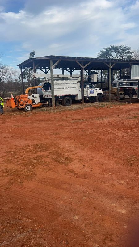 Tree Removal gallery