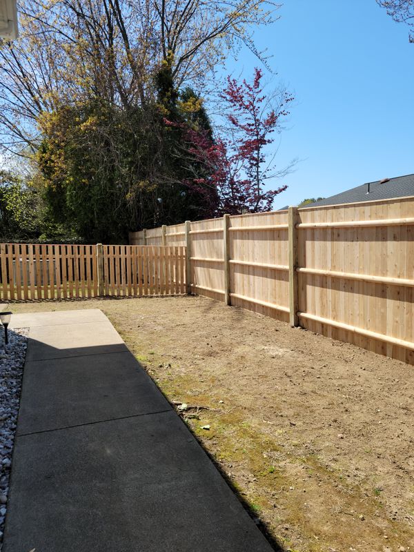 Wooden Fences
