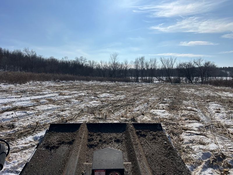 Brush Mowing