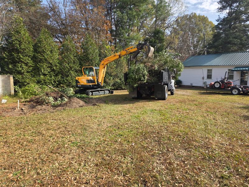 Environmental Excavation