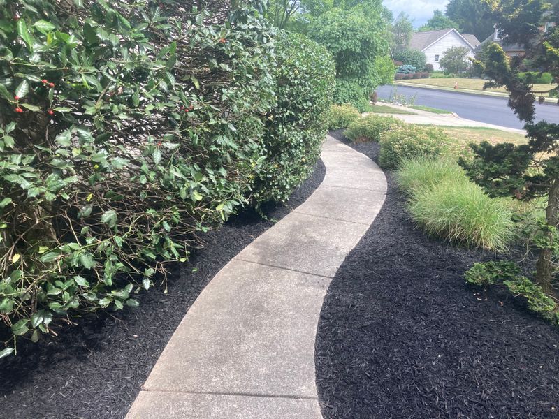 Landscape Design