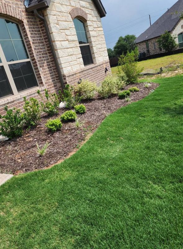 Landscape Design