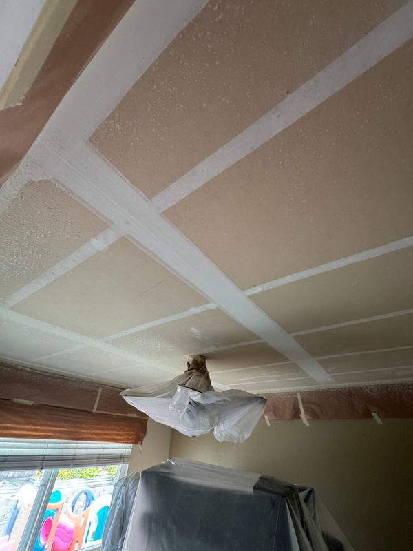 Drywall, Plastering and Popcorn Ceiling Removal