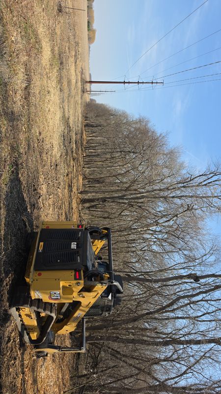 Forestry Mulching