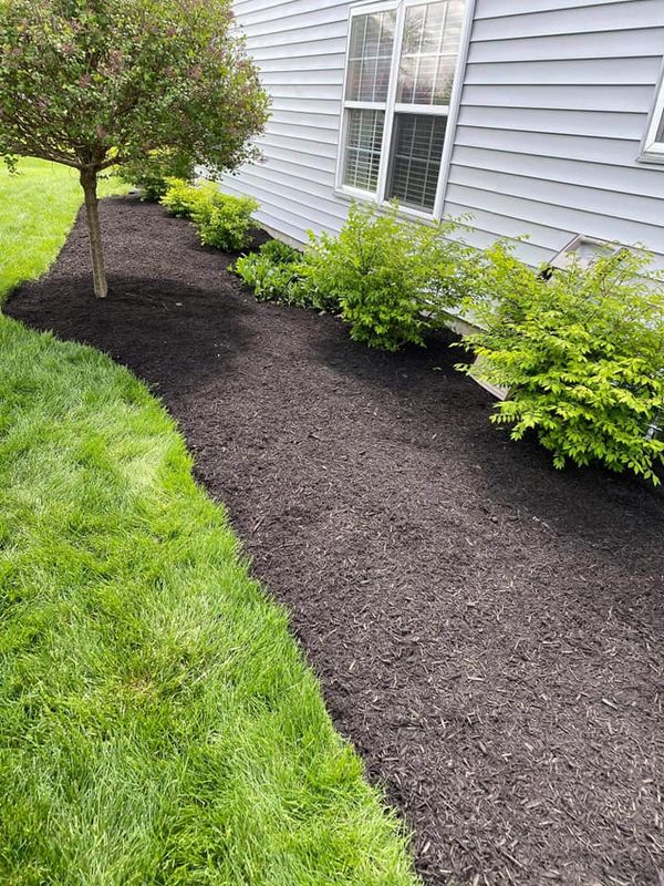 Mulch Installation