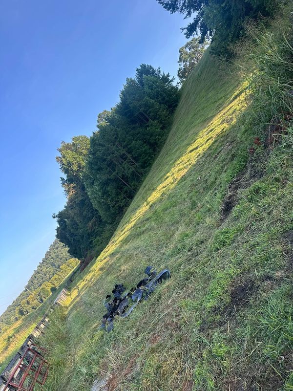 Bush Hogging