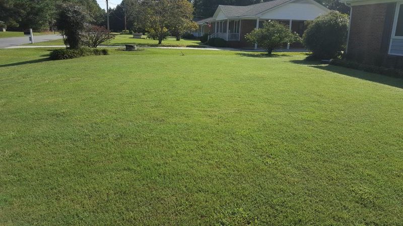 Turf Management