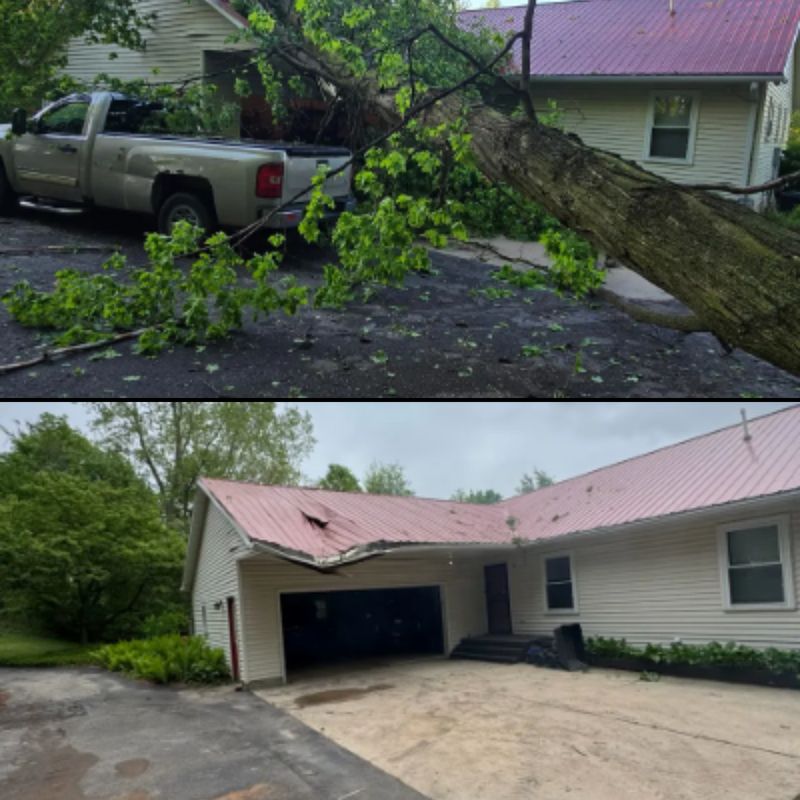 Storm Cleanup: Before and After
